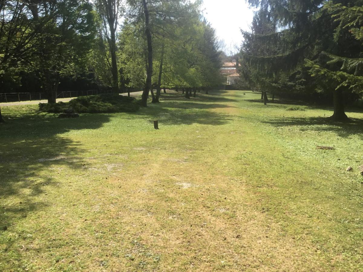 Les Pierrottes Hébergement de vacances Mornac